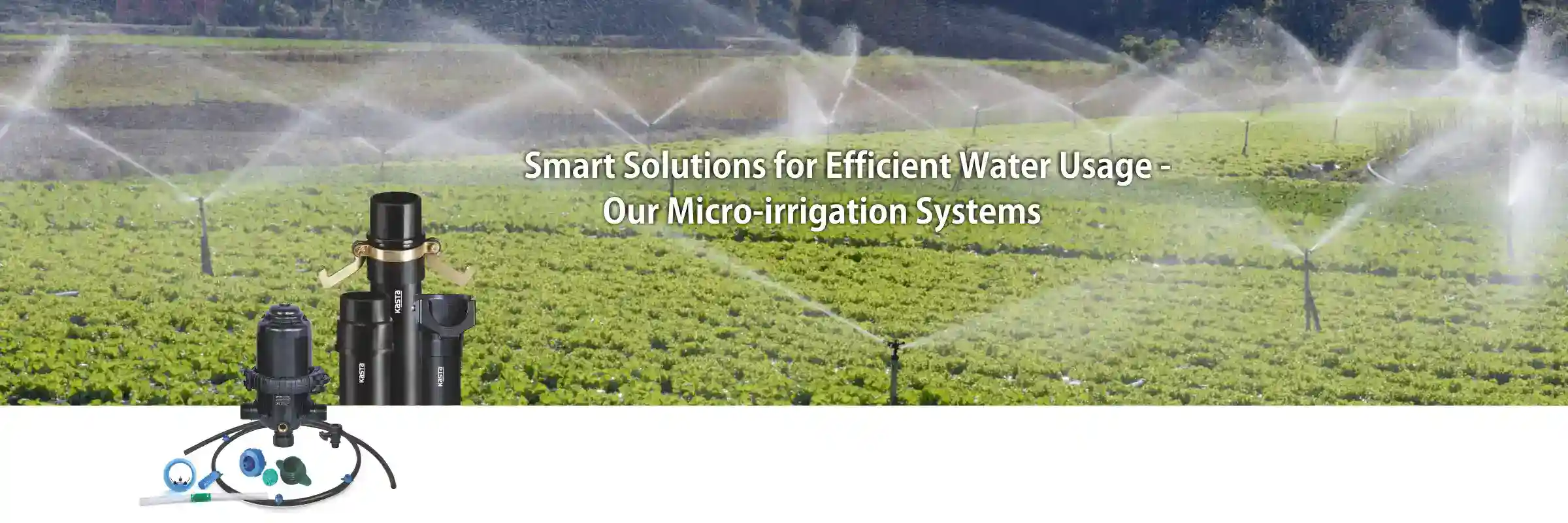 micro-irrigation-system