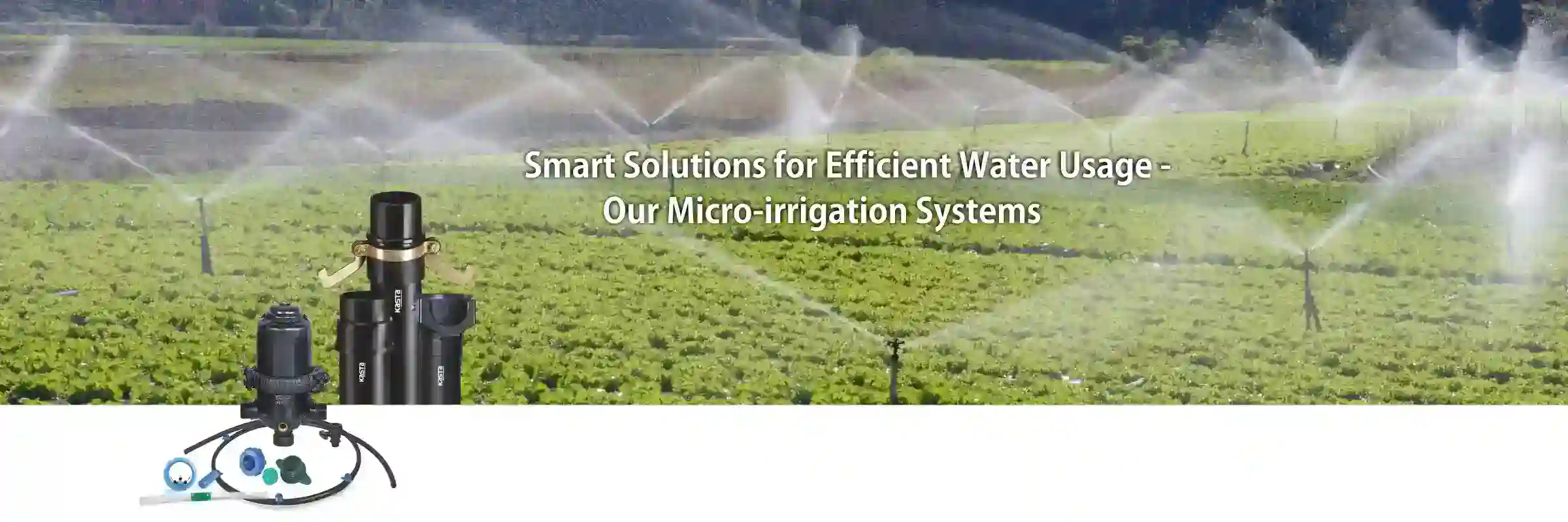 micro-irrigation-system