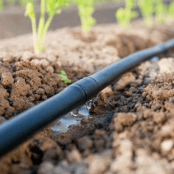 In-line-drip-irrigation-system