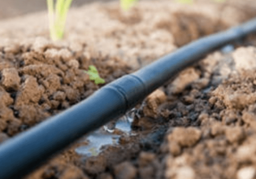 In-line-drip-irrigation-system